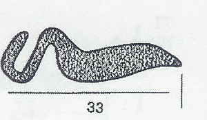 Deurrubber Jaguar